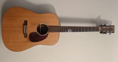 Martin Custom D Classic Rosewood