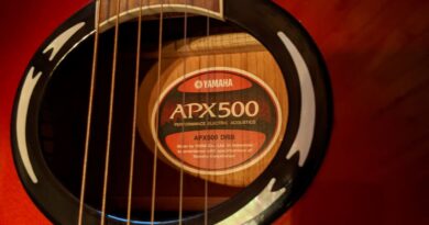 Yamaha APX 500 DBR