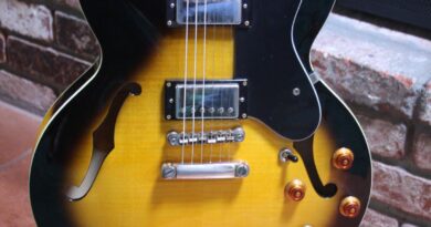 Epiphone Dot Deluxe VS