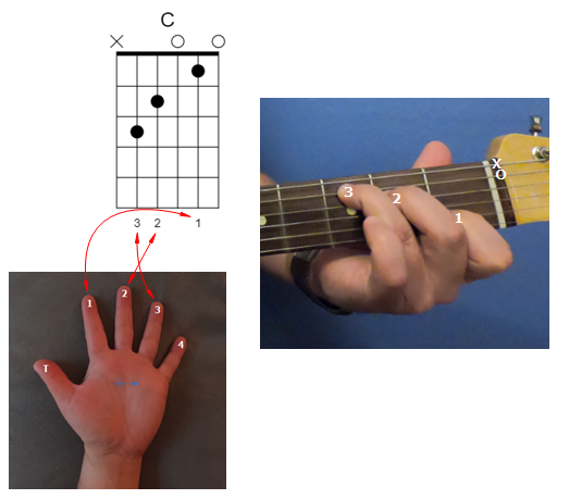 C-Chord Diagram