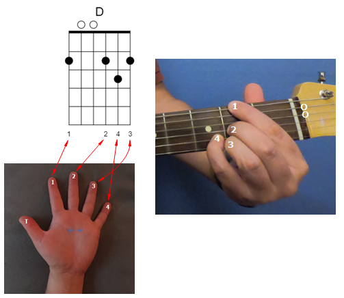 D (F# Base) Chord Diagram