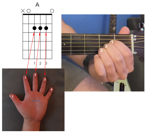 How to Play Wagon Wheel 