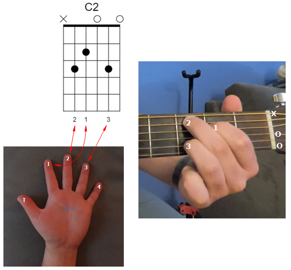 C2 Chord Diagram