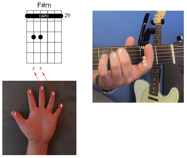 2nd Fret Capo F#m Chord